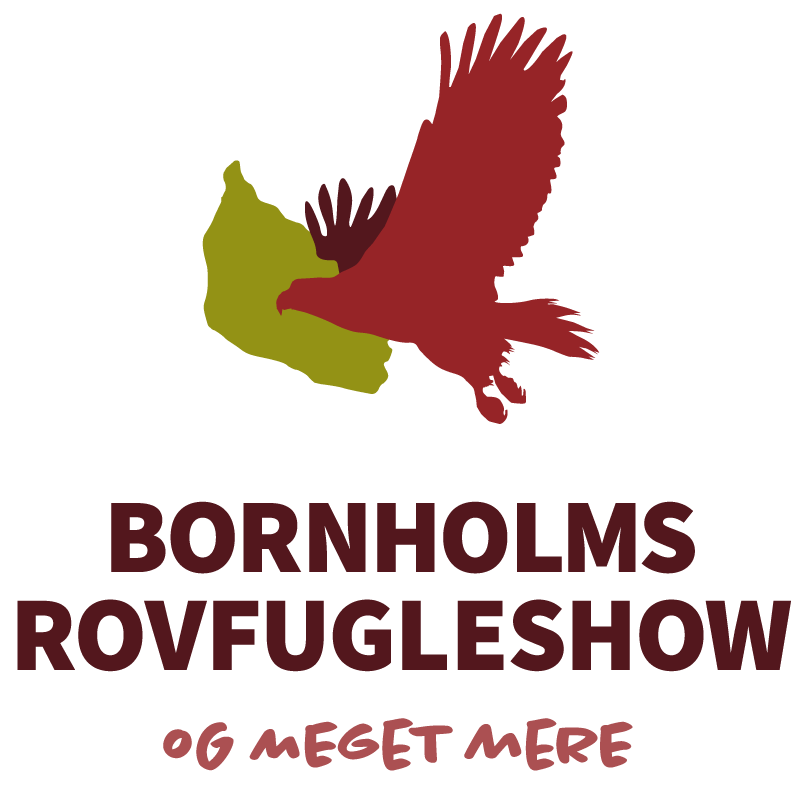 Bornholms Rovfugleshow - Nyker
